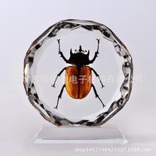 用人工假装智能?Meta被曝用外包人员代替AI通话