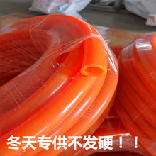 人类疯狂改造番茄 就为了让你吃到维生素D